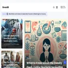 brasilll.com