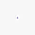 bravelight.net