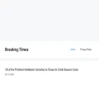 breakingtimes39.com
