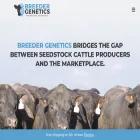 breedergenetics.com.au