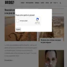 bridoz.com