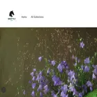 brieftyly.com