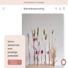 brievenbus-verrassing.nl