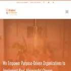 brighterstrategies.com