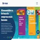 brinsa.com.co