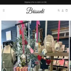 brissonte.com