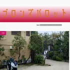 bronze-parrot.com