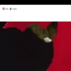 brown-sleek.com