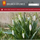 brumov-bylnice.cz