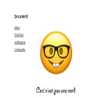brunerd.com