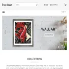 bryonsfineart.com