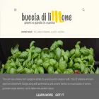 bucciadilimone.it