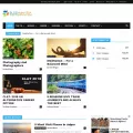 buddymantra.com