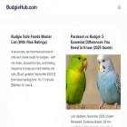 budgiehub.com
