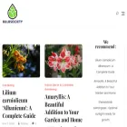 bulbsociety.org
