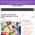 bulkleadservices.com