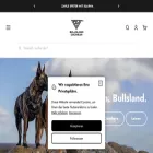 bullsland.de