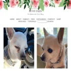 bunnyhillblog.com