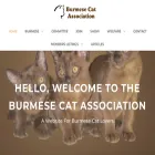 burmesecatassociation.org