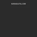 bursadijital.com