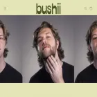 bushii.com