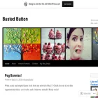 bustedbutton.com