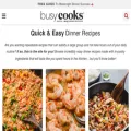 busycooks.net