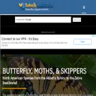 butterflyidentification.org