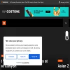 buycostone.com