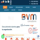 bvmconsultores.cl
