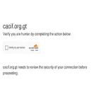 cacif.org.gt