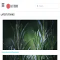 cactusway.com
