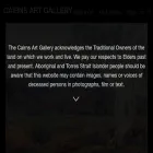cairnsartgallery.com.au