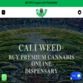 caliiplug.com