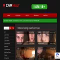 camvault.to