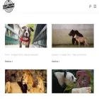 canalmascotas.com