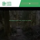 capeltreesurgeons.com