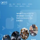 capsystech.com