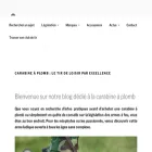 carabine-a-plomb.com