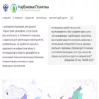 carbon-polygons.ru
