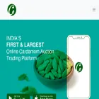 cardamomauction.com