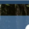 careyinstitute.org