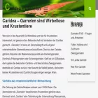 caridea.de