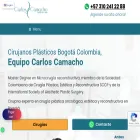 carloscamachocplastica.com