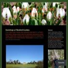 carolynsshadegardens.com