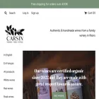 carsinstore.com