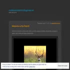 castlemountainhuntingpreserve.com