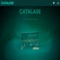 catalase.hu