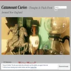 catamountcuriosities.com