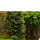 catesheatingandcooling.com